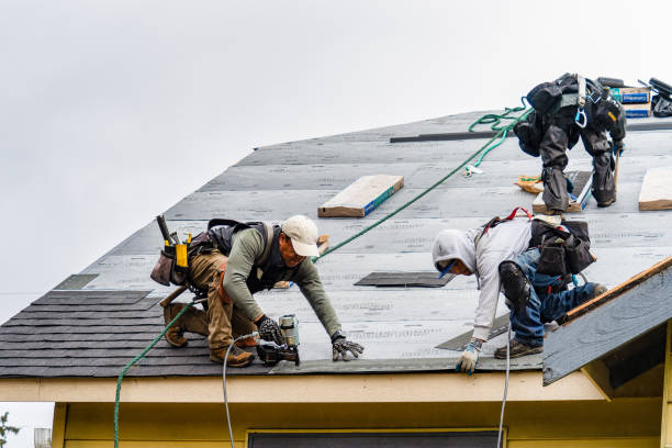 Professional Storm Damage Roof Repair technician working in Osage, MN